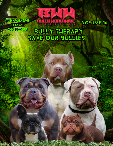 Bullyworldwide   Magazine Vol  #16 digital