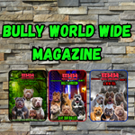 Bullyworldwide   Magazine Vol  #16 , #17 and #18 Bundle