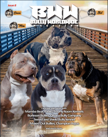 Bullyworldwide Magazine Issue #8