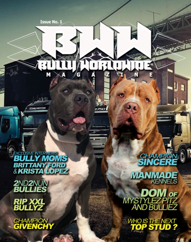 Bullyworldwide Magazine Issue #1 (Digital )