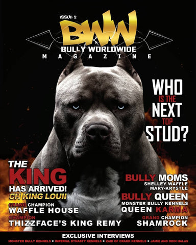 Bullyworldwide  Magazine Issue #2 (Digital)