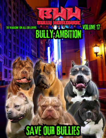 Bullyworldwide   Magazine Vol  #17 digital