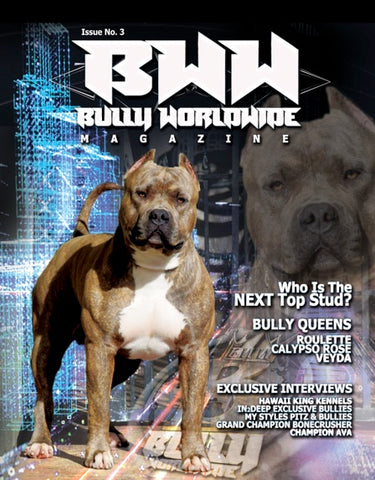 Bullyworldwide  Magazine Issue #3