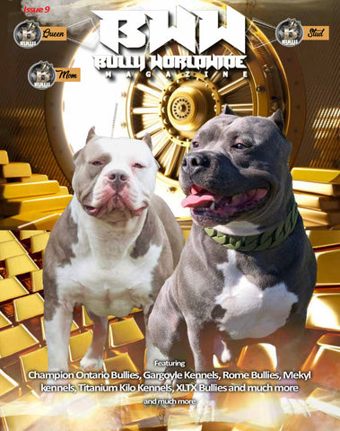 Bullyworldwide Magazine Issue #9 digital