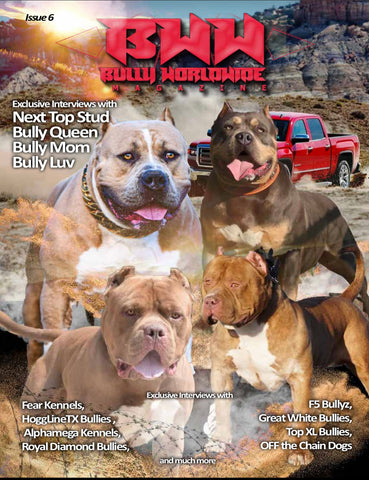 Bullyworldwide Magazine Issue #6
