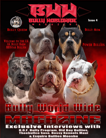Bullyworldwide Magazine Issue #4