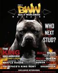 Bullyworldwide Magazine Issue #2